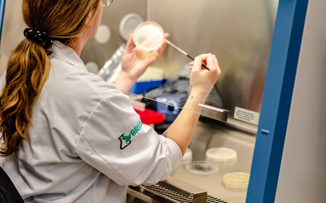 Développement d&rsquo;un nouveau fertilisant biologique en cours