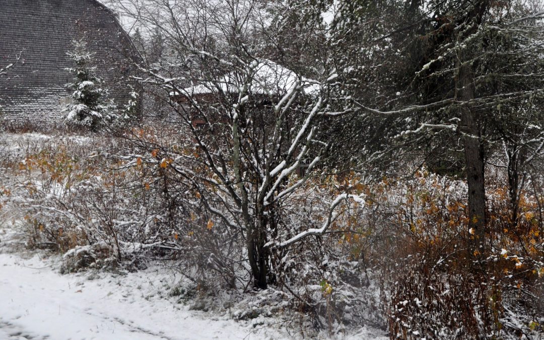 Première neige dans les Basques