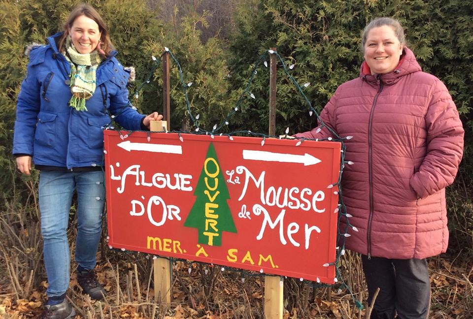 Cadeaux originaux à L’Algue d’Or et La Mousse de Mer de L’Isle-Verte