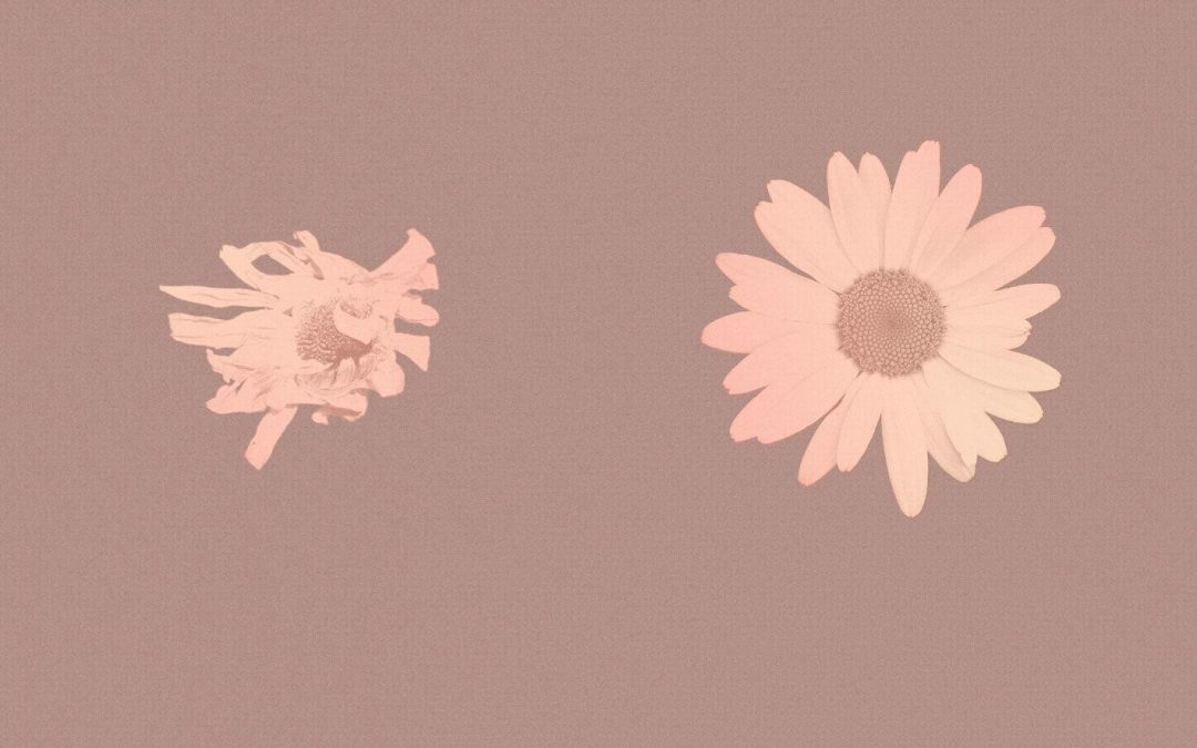 Documentaire sur une jeune femme qui lutte contre le cancer du sein