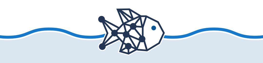 Une nouvelle application mobile gratuite pour identifier les poissons du Québec