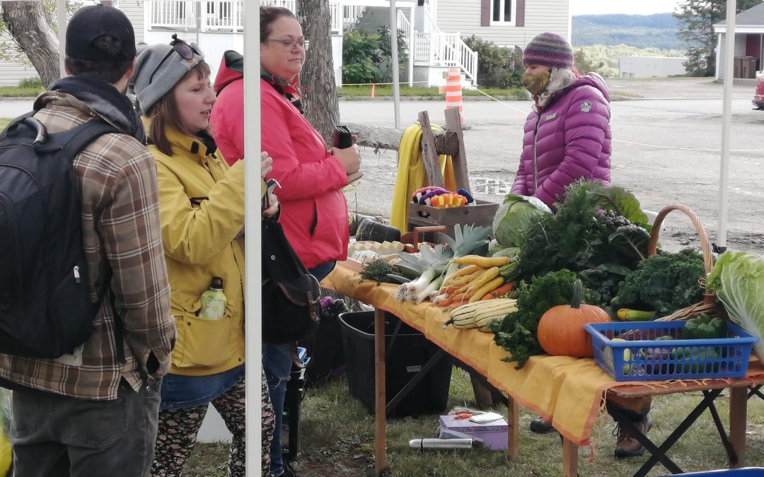 Une première Fête des récoltes appréciée à Saint-Clément