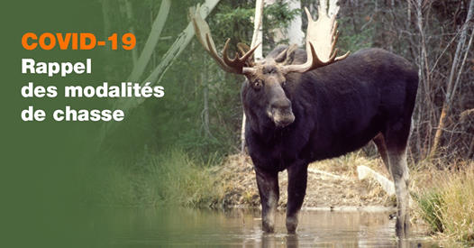 Rappel des règles pour la chasse en temps de pandémie