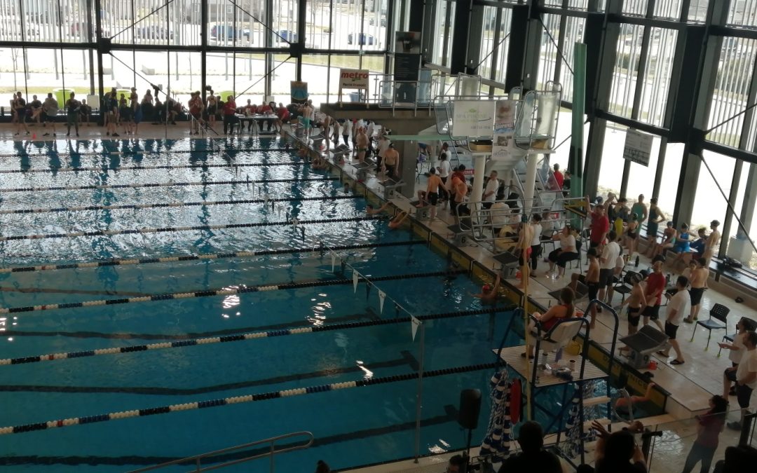 Compétition provinciale de natation dans la région