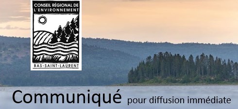 Le Conseil de l’environnement appelle à voter pour le climat
