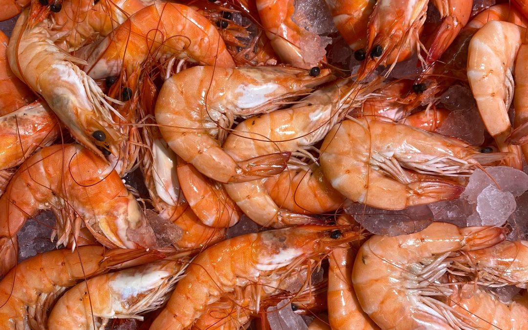 Les élus de la Matanie se mobilisent pour l’industrie de la pêche et de la transformation