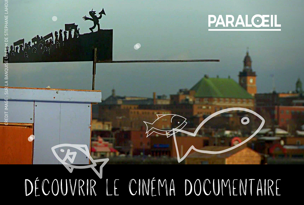 Quatre capsules vidéos pour initier le public jeunesse aux films documentaires
