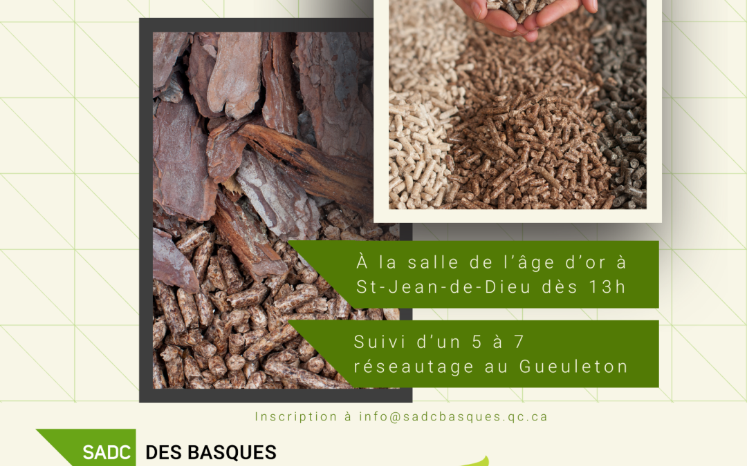 Découvrir les opportunités liées à la biomasse forestière