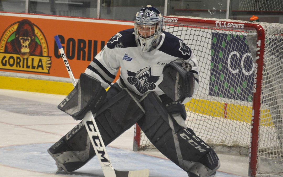 Des matchs de hockey junior disponibles gratuitement