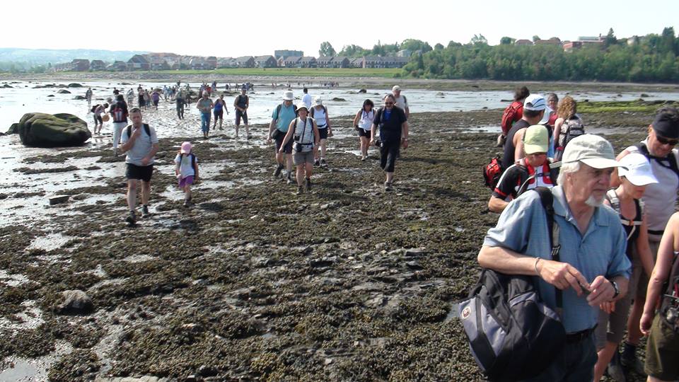 Retour de la grande traversée à pied à l’île St-Barnabé