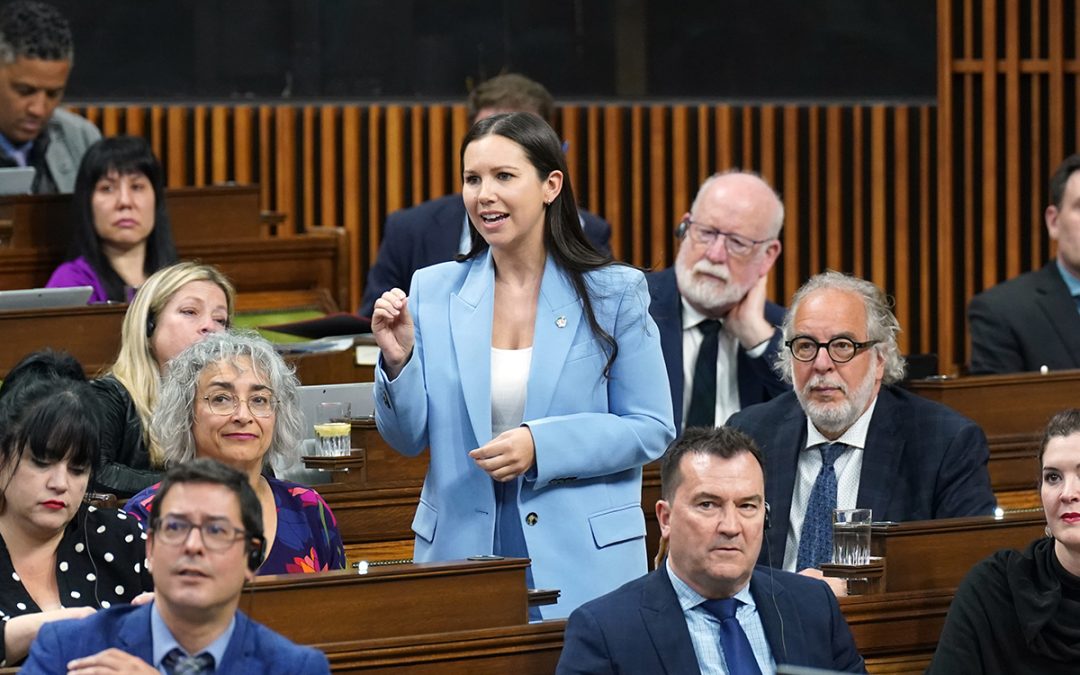 La suspension de la pêche aux coques dans la Baie-des-Chaleurs doit être réévaluées