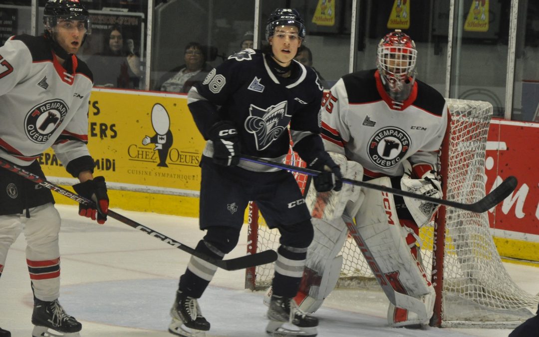 La LHJMQ dévoile le calendrier de la saison régulière 2023-2024