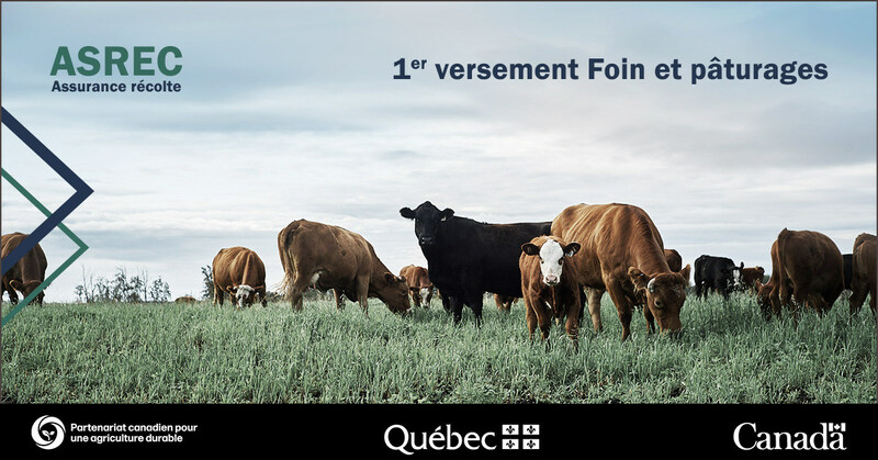 9 M$ versés aux producteurs de foin et pâturages