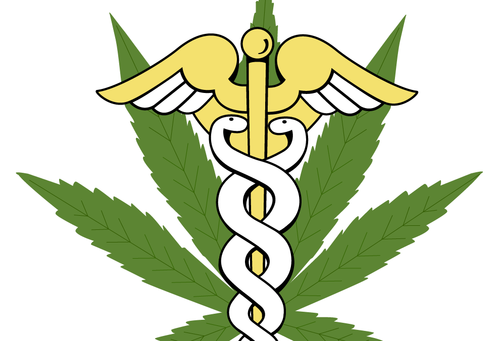 Du cannabis thérapeutique à Notre-Dame-des-Neiges