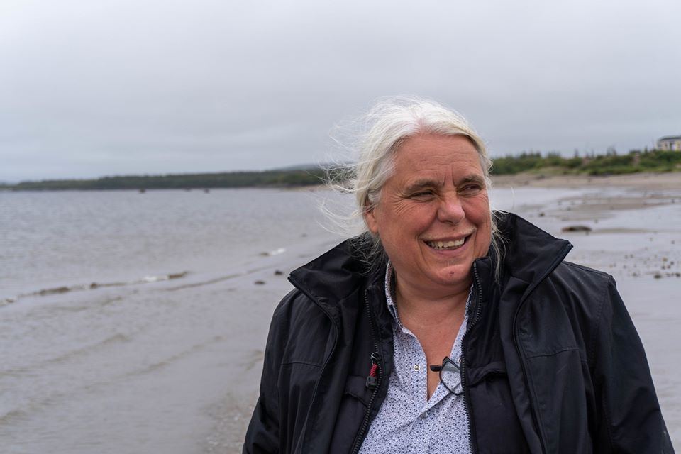 Manon Massé propose de créer une société publique pour brancher les régions