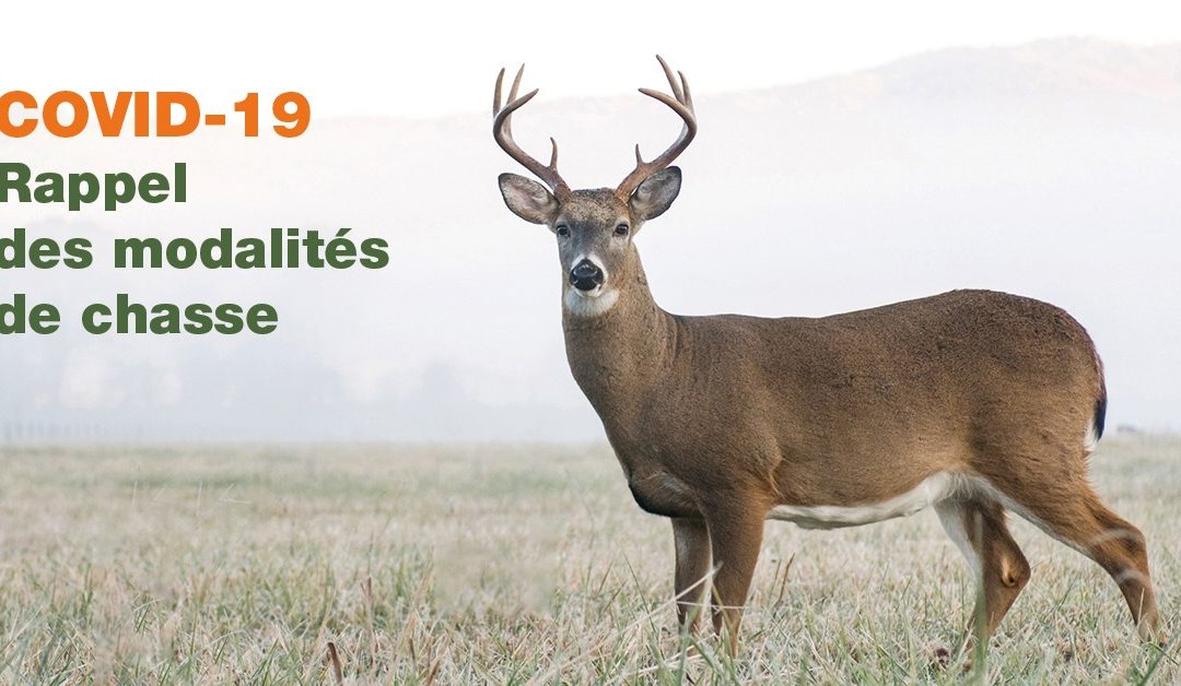 Québec invite les chasseurs à respecter les règles de la santé publique