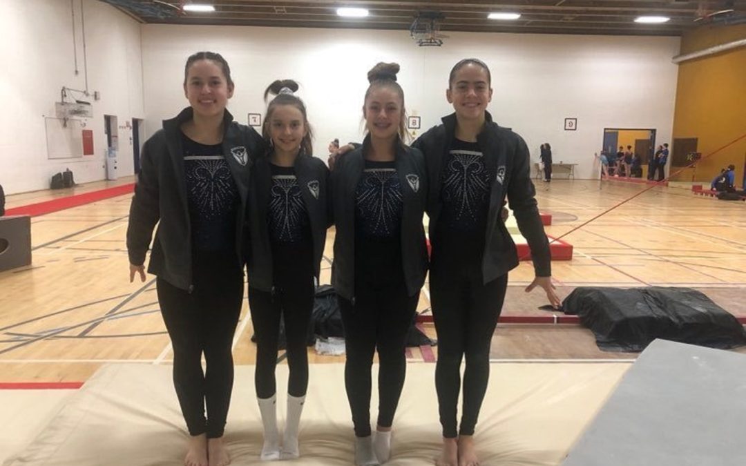 Gros week-end en gymnastique