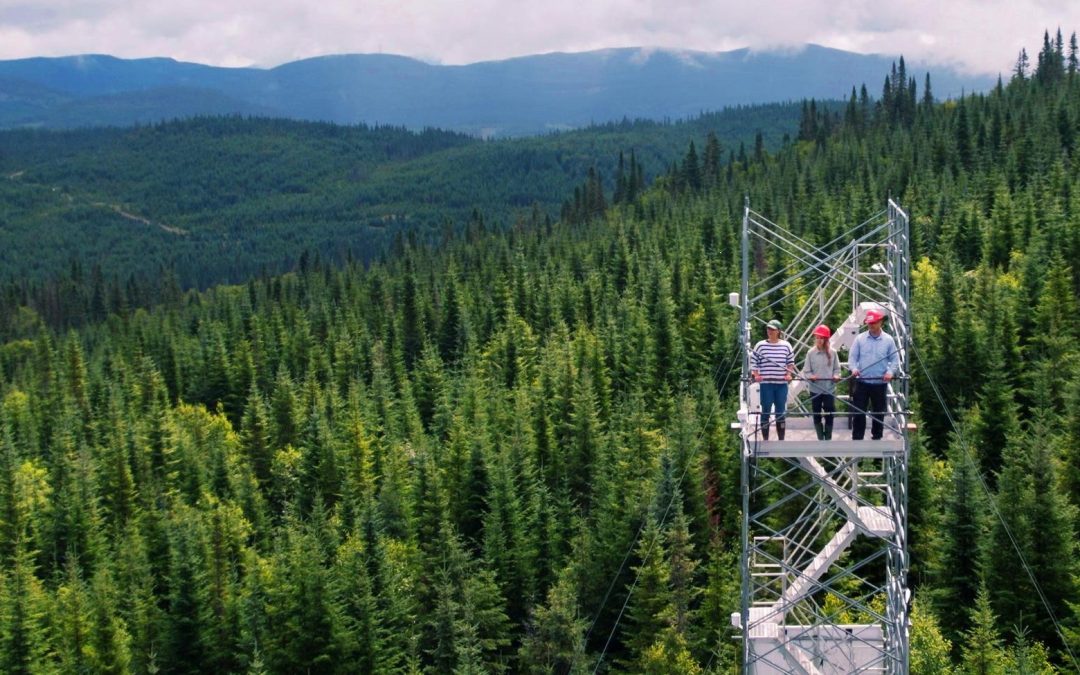 La bataille pour la forêt sur Savoir média
