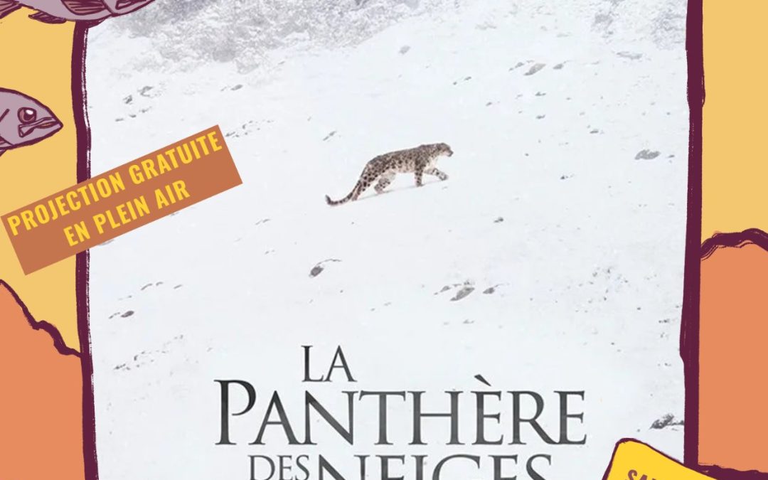 Du cinéma sous les étoiles à Saint-Clément