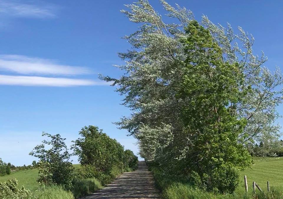 La Route des passants: une marche de longue durée entre Sainte-Rita et Saint-Antonin