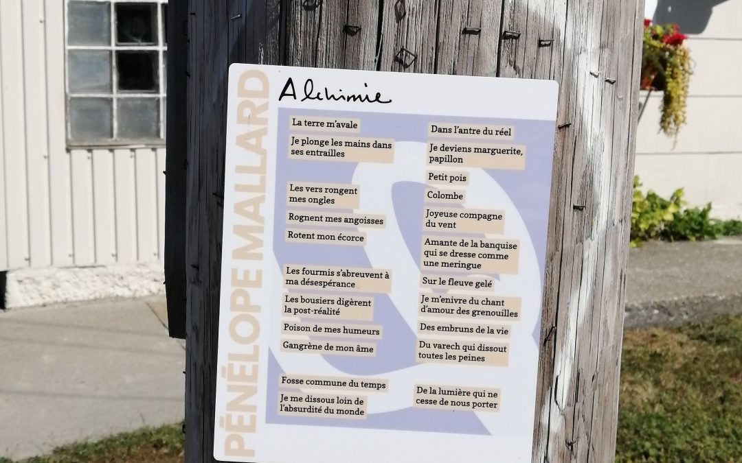 Une installation poétique extérieure par sept artistes