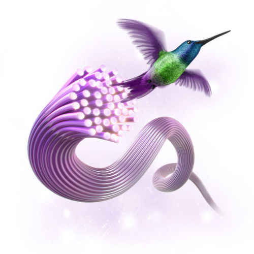 TELUS investit 20 M$ au Bas-Saint-Laurent