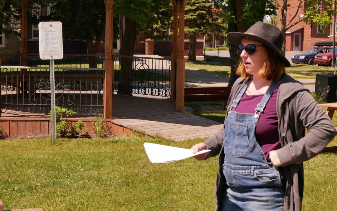Faire de l’intervention sociale dans un environnement agricole