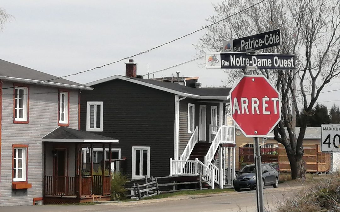 Notre-Dame-des-Neiges veut réguler la vitesse