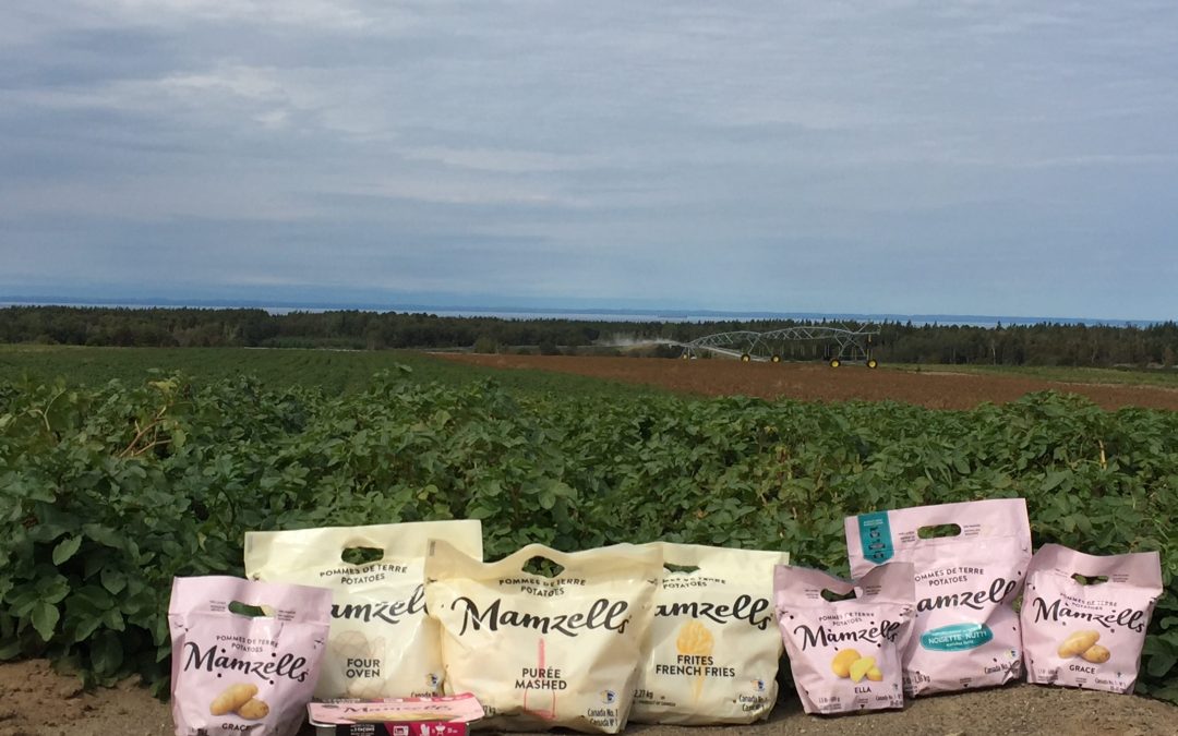 Luc Bérubé veut rendre la pomme de terre plus « sexy »