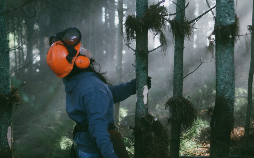 3,2 M$ de plus pour le Programme d&rsquo;aide à la mise en valeur des forêts privées