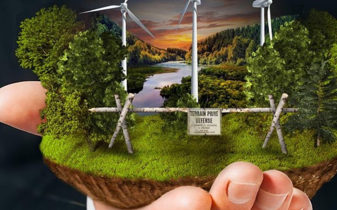 Film et assemblée citoyenne sur le territoire non organisé