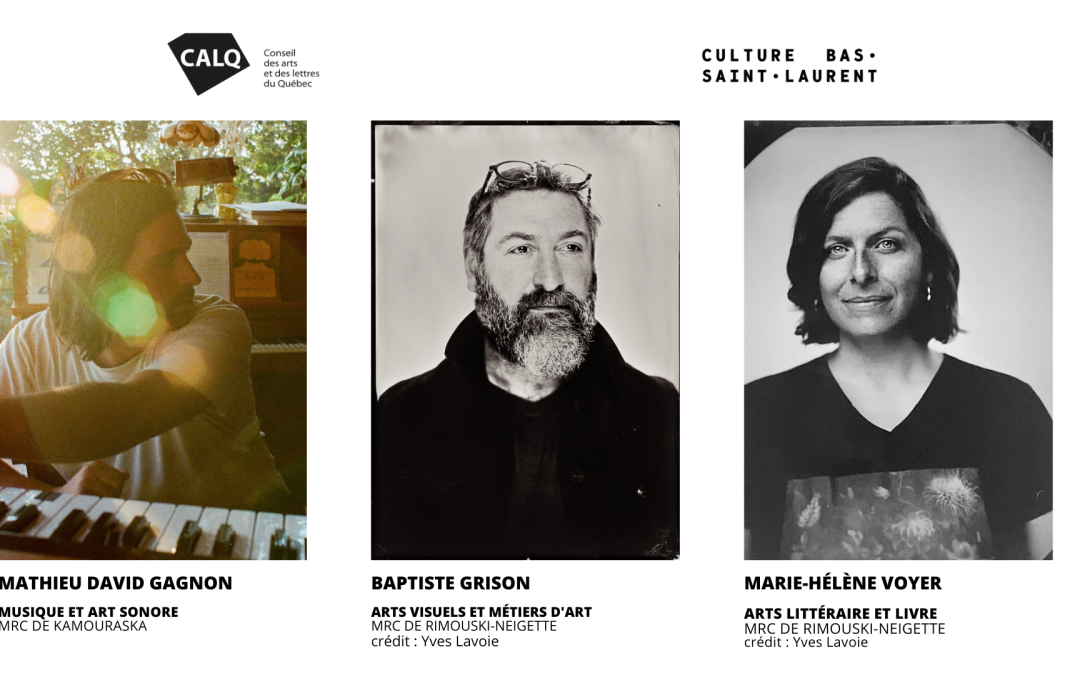 Trois finalistes au titre d’artiste de l’année