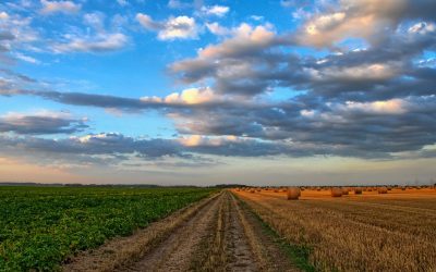 Agriculture en bref