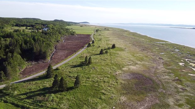 Le premier Big Wolf’s Backyard Ultra se tiendra sur le site de l’ancien quai de Cacouna