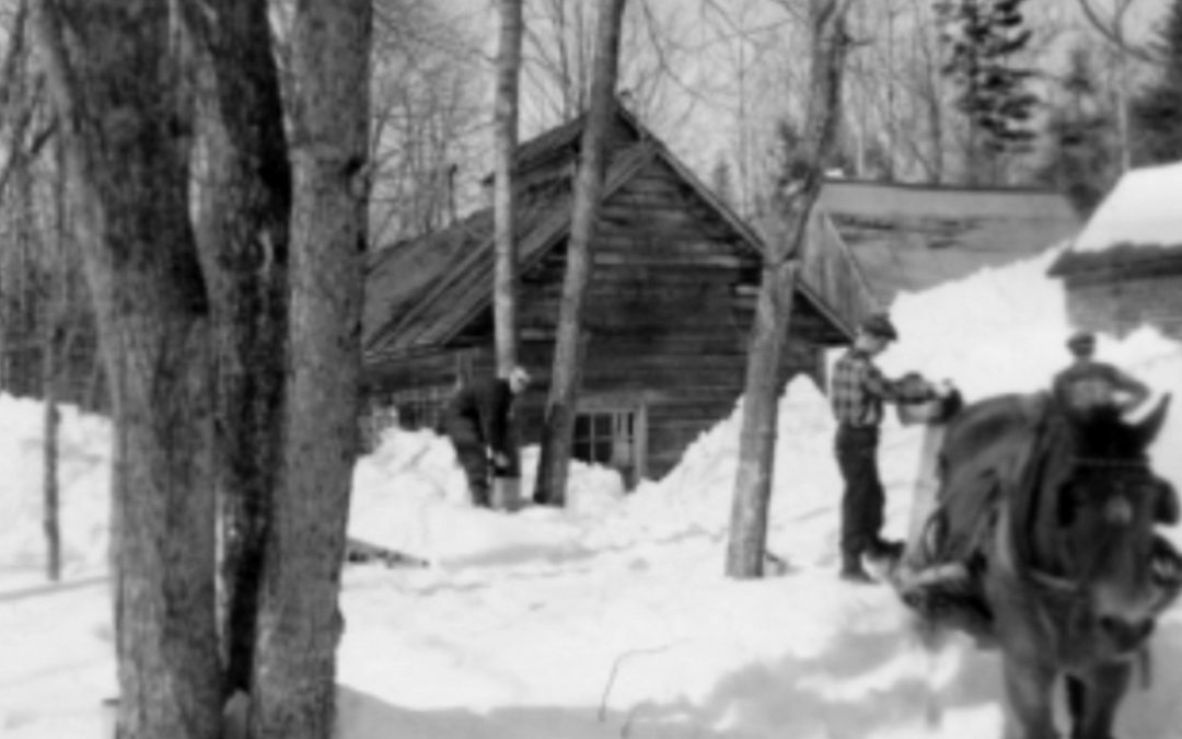 Production de sirop d’érable