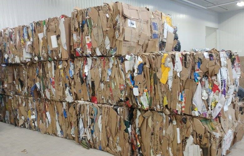 RÉCUPÉRATION DES BASQUES SUR LE POINT D’ÊTRE SAUVÉE?