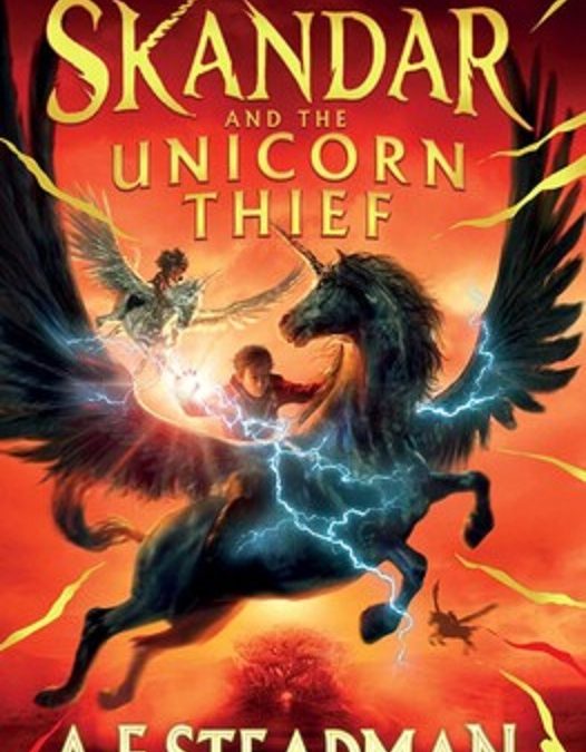 Skandar a toujours rêvé de chevaucher une licorne