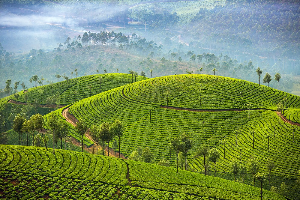 Les Aventuriers Voyageurs font découvrir le Sri Lanka
