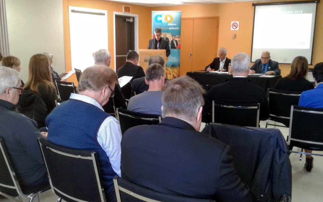 Bilan 2017 du CLD des Basques