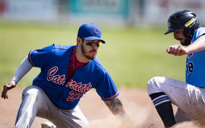 Baseball senior : les équipes sont déjà au travail