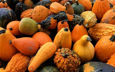 Le CISSS prépare ses repas avec des aliments d’ici