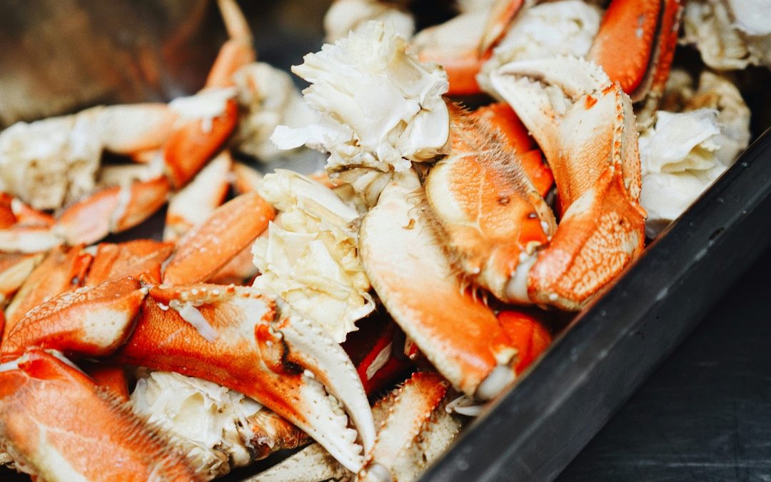 Fondation Jeunesse : le Super Party de crabe est de retour