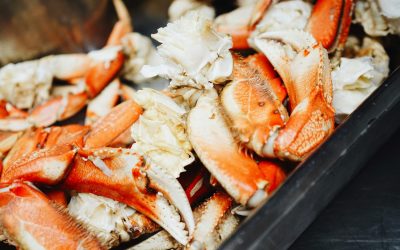 Fondation Jeunesse : le Super Party de crabe est de retour