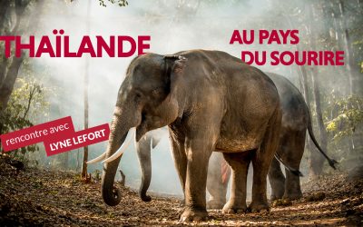 Les Grands Explorateurs s’intéressent à la Thaïlande