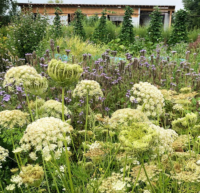 La Société des plantes récolte après 23 ans d’existence