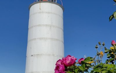 Une fin de semaine de jeux de société sur l’Île Verte