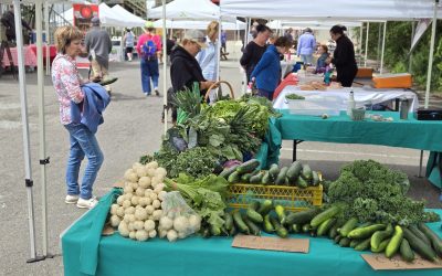 Un bilan préliminaire intéressant pour le Marché public des Basques