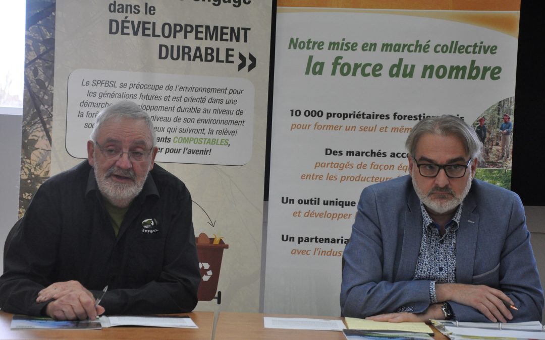 Forêt privée : record de bois mis en marché