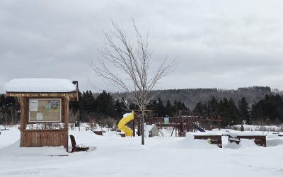 Festival du plein air : des activités à Trois-Pistoles et à Saint-Simon