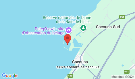 L’audience publique sur le dragage du port de Gros-Cacouna s’en vient